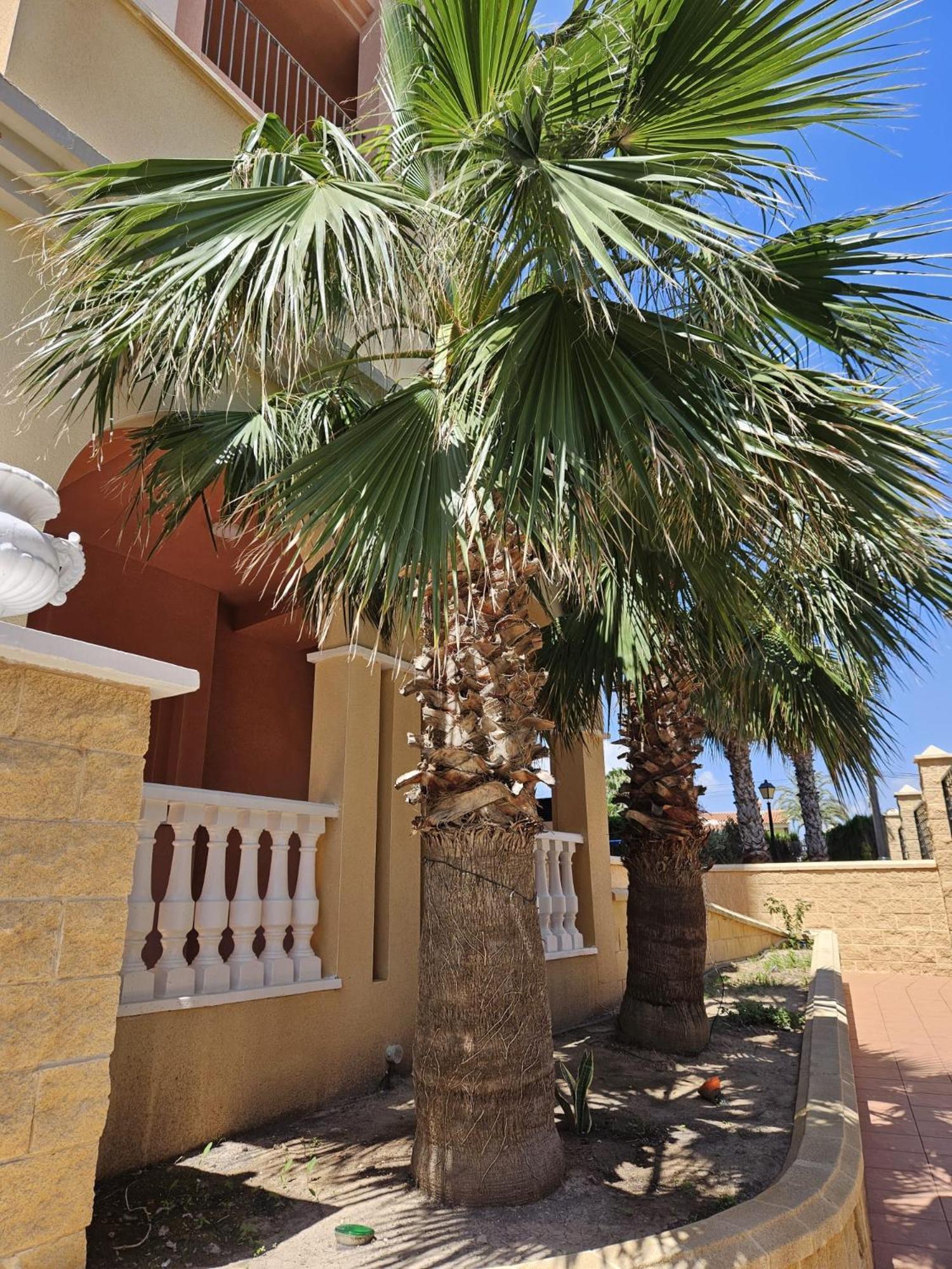 Atalayas Vista Appartement Torrevieja Buitenkant foto